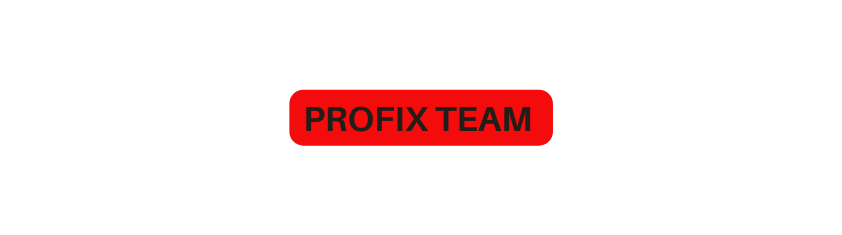 PROFIX TEAM