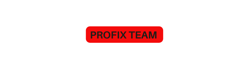PROFIX TEAM